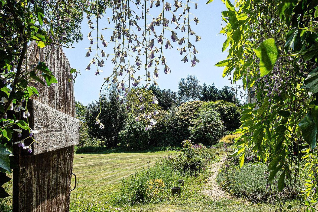 Cosy Wolf Bed & Breakfast Freshwater Exterior foto